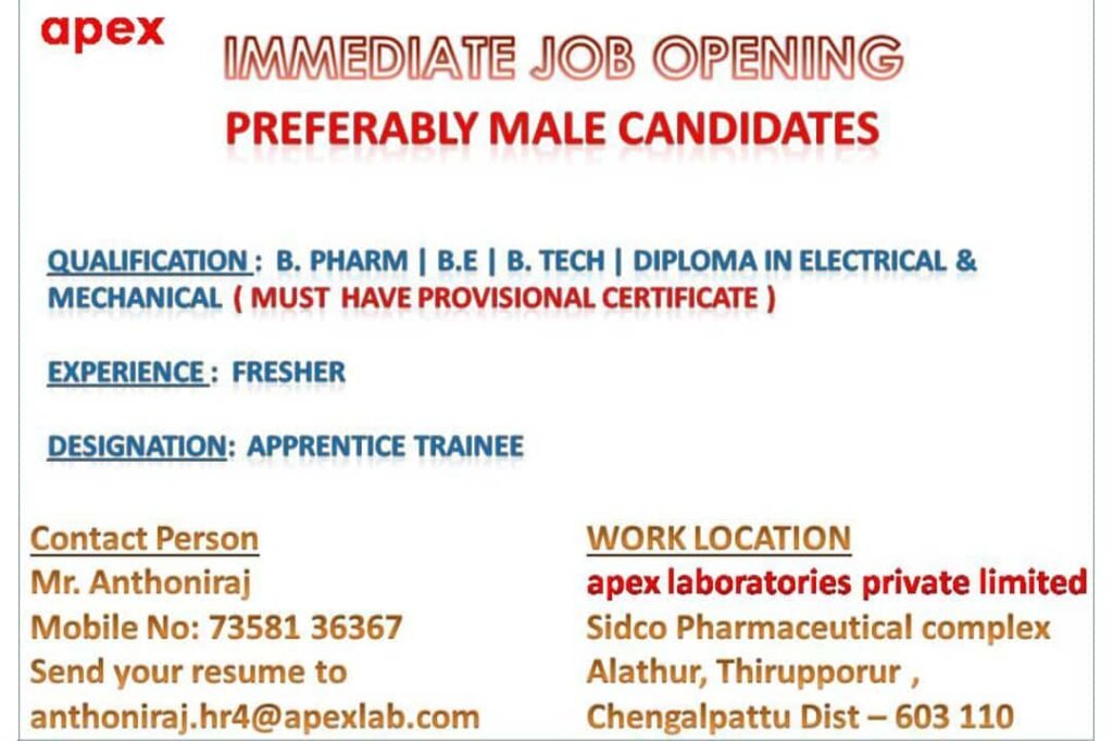 Fresher Apprentice