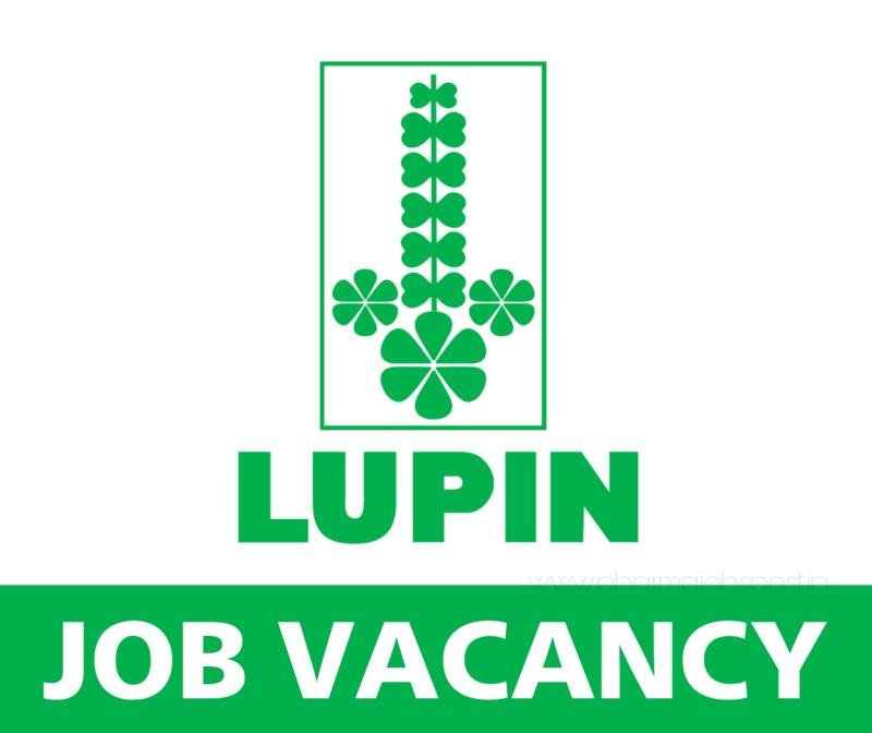 Lupin Freshers Job