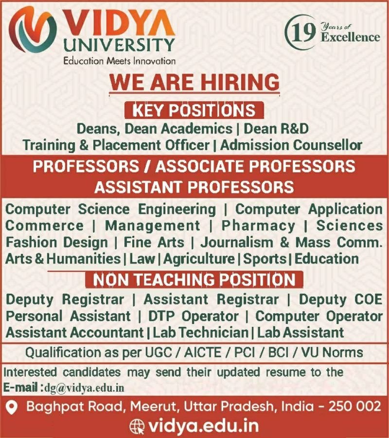 Vidya University Recruitment